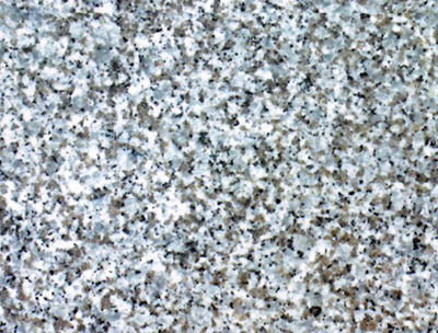 ���ְ�ʯ��